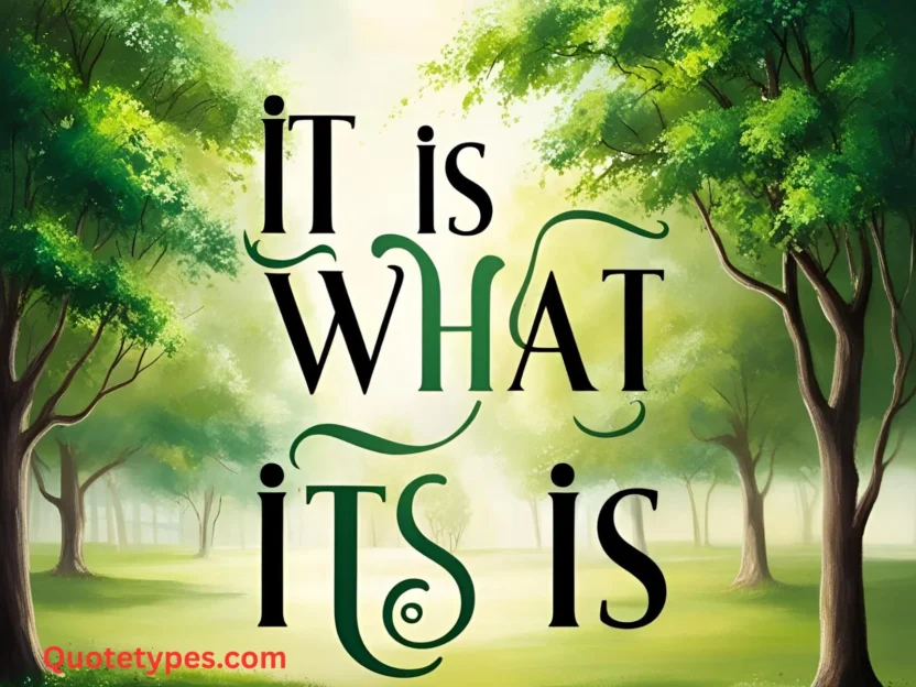 It Is What It Is Quotes