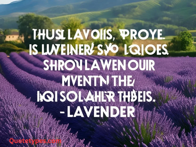 Lavender Quotes
