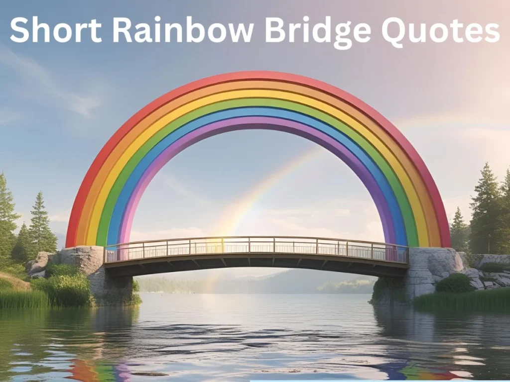 Short Rainbow Bridge Quotes